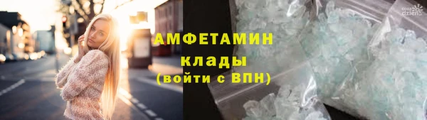 сатива Волоколамск