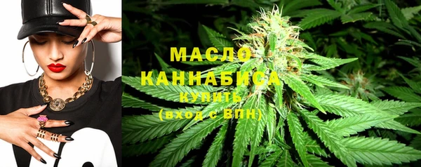 сатива Волоколамск