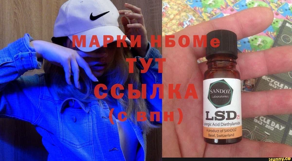 сатива Волоколамск