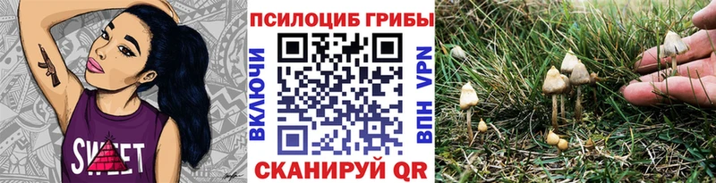 Купить  Курильск  Псилоцибиновые грибы мицелий 